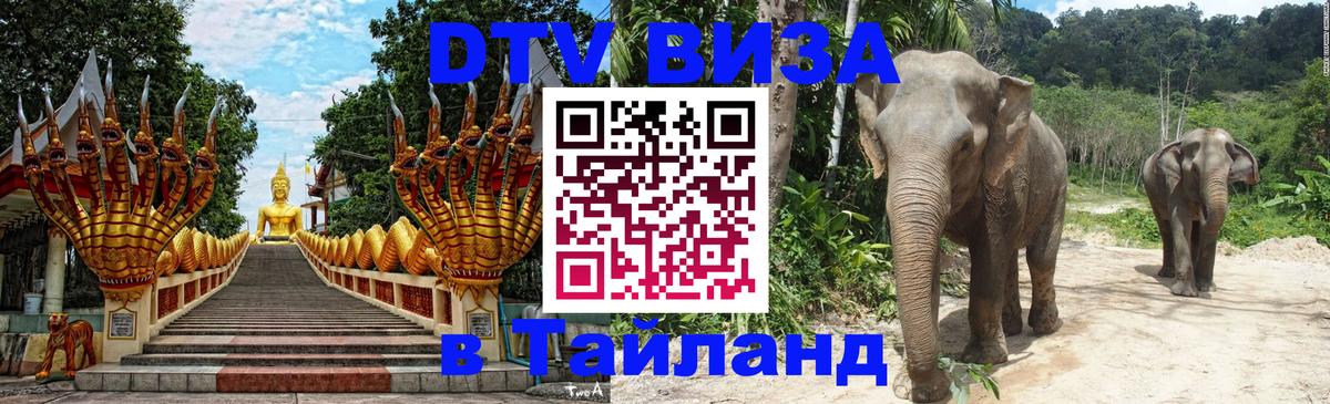 DTV (ДТВ) visa Таиланд Новошахтинск 